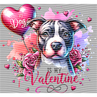 Valentine's Day-QRJ  3114